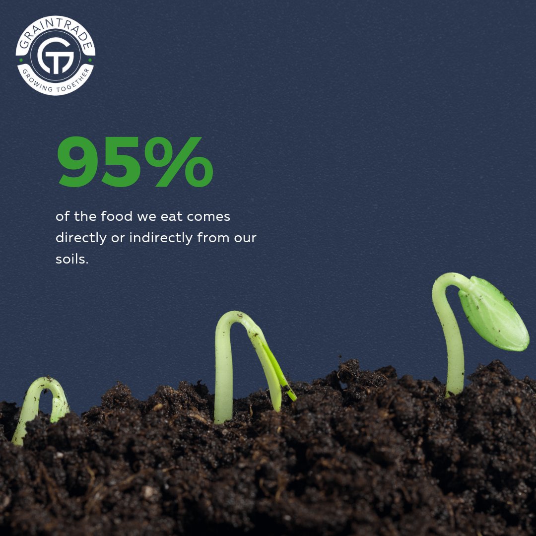 GRAINTRADEZA on Twitter "Let’s ensure soil health so that there can be