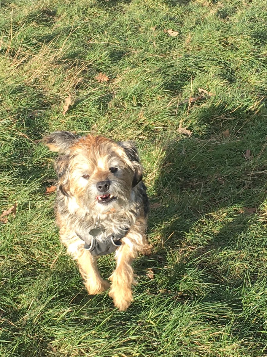 Barbara Vick (Ennis CBE OTRB 8 February 2023) tweet media