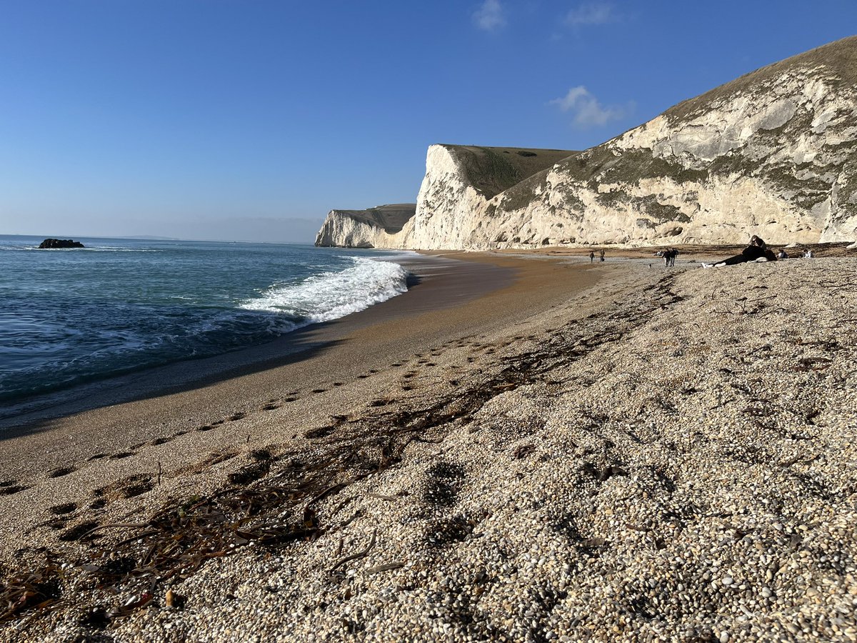 Tom Orchard tweet media