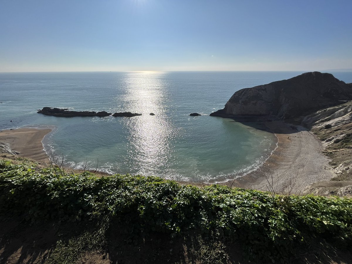 Tom Orchard tweet media