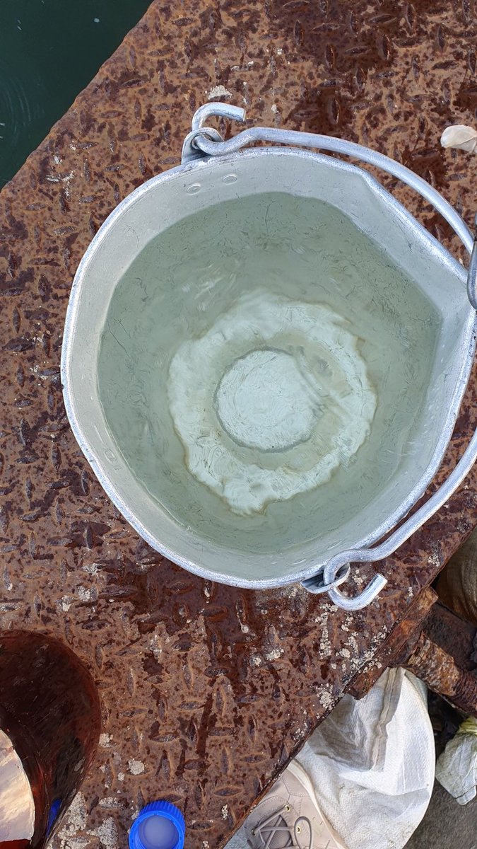 S14T0623 15:41 3,6°C SAL 10,3