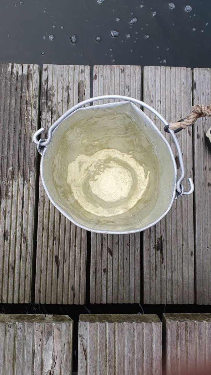 S10M0623 14:35 3,7°C SAL 2,6