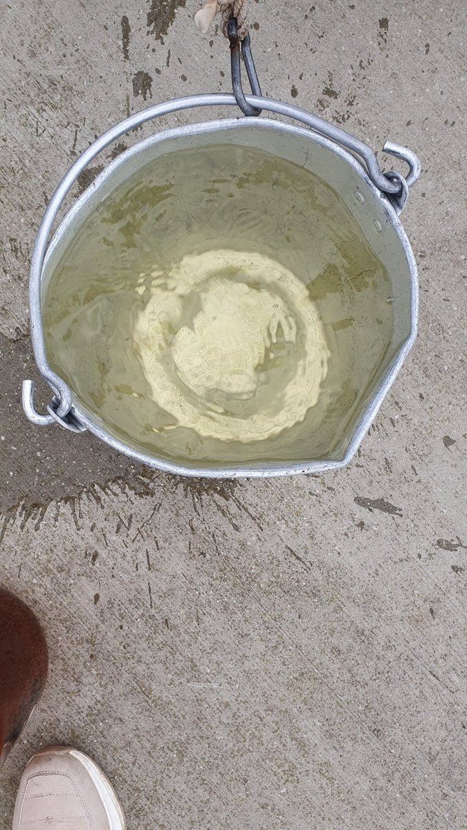 S09M0623 14:20 3,5°C SAL 1,5