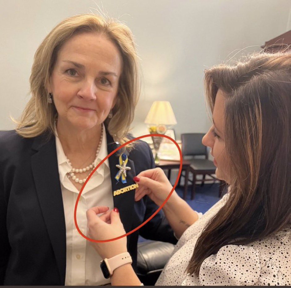 LidiaNews's tweet photo. Democrats replaced the American flag pin with an abortion pin. 

What more do you need to know about this party that proudly displays what is most likely an agonizing decision by most women and the death of an unborn child? https://t.co/JL6225T9D2