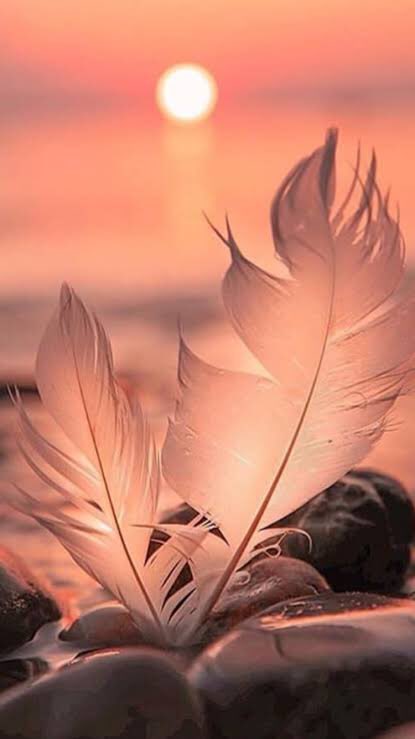 The soul always knows
what to do to 
heal itself.