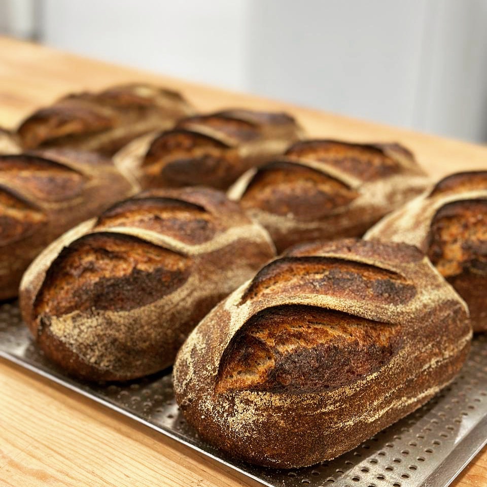 100% spelt looking great today!

We use organic spelt grain grown by the Bromm family east of town and have for 8+ years 🥰