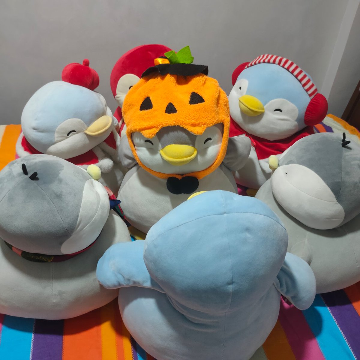 ChubbyPingu's tweet photo. Circle of chubby penguins 🥰🐧❤️#penguins #chubbypingu #cute #cutepenguin #pingu #fat #penguinplushie #penguinplush #penguin #plushie #tonton #chubby #pochapeng #포챠펭 https://t.co/LugZA5WZpU