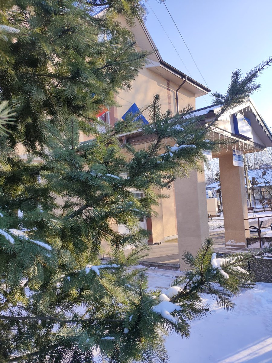 PEDL Erasmus+ Project tweet media