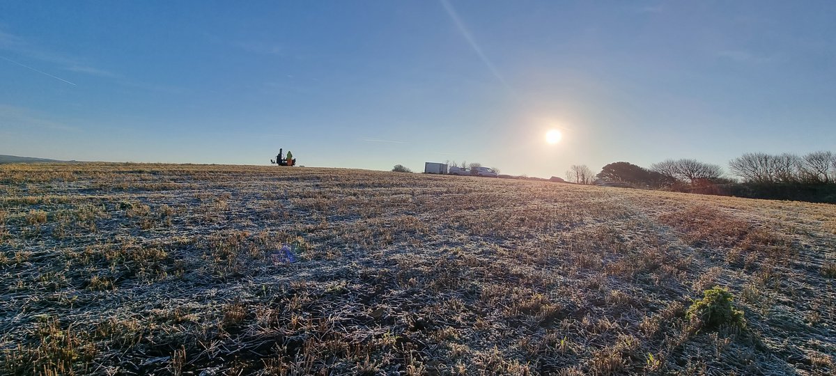 Terra Firma tweet media