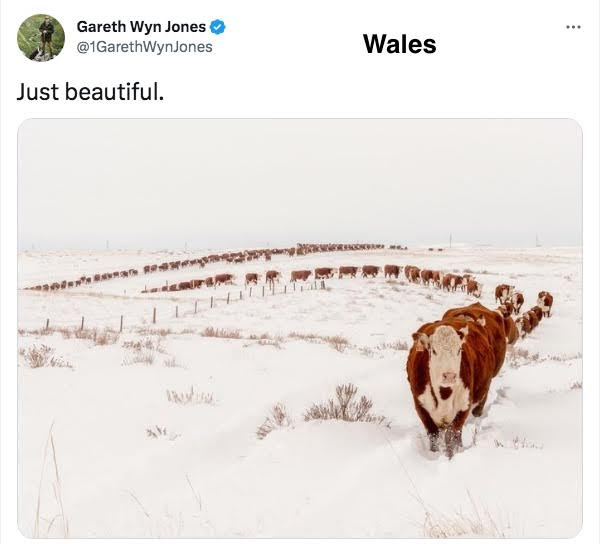 FarmTank tweet media