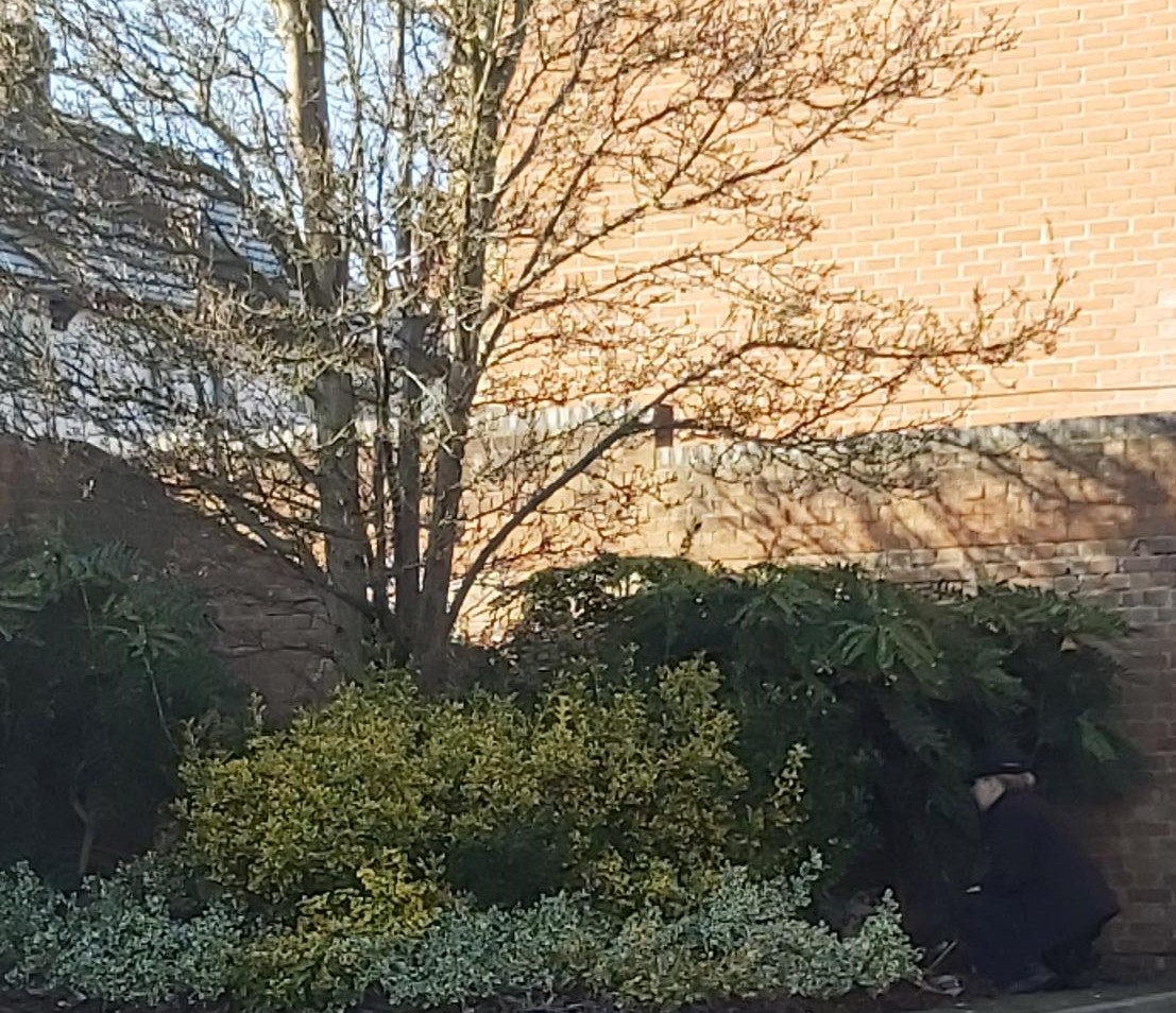 KentPoliceMed's tweet photo. Town centre PCSO out on foot patrol today completing a #WeaponsSweep in #Gillingham - happy to report nothing found #KeepingYouSafe https://t.co/U1MiFOonu0