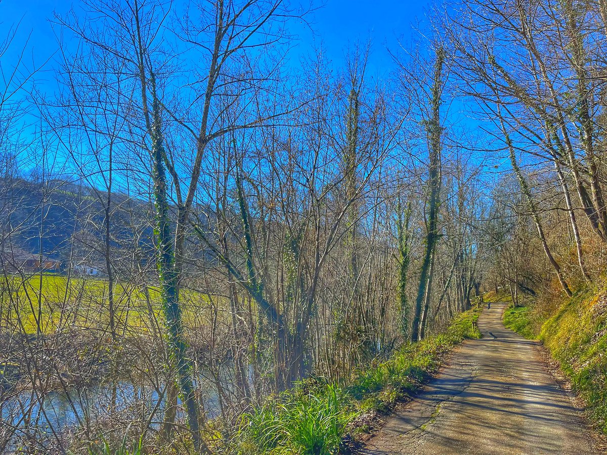 katiamartin86's tweet photo. Día 8 de Febrero 
8 grados de calor 🥵 
8 kms de Ida y 8 de vuelta 😆😆
#workout #lesiónderodilla #yesican #16kms #wednesdaythought #8grados #16kms #Asturias https://t.co/Lff9UkY4xT