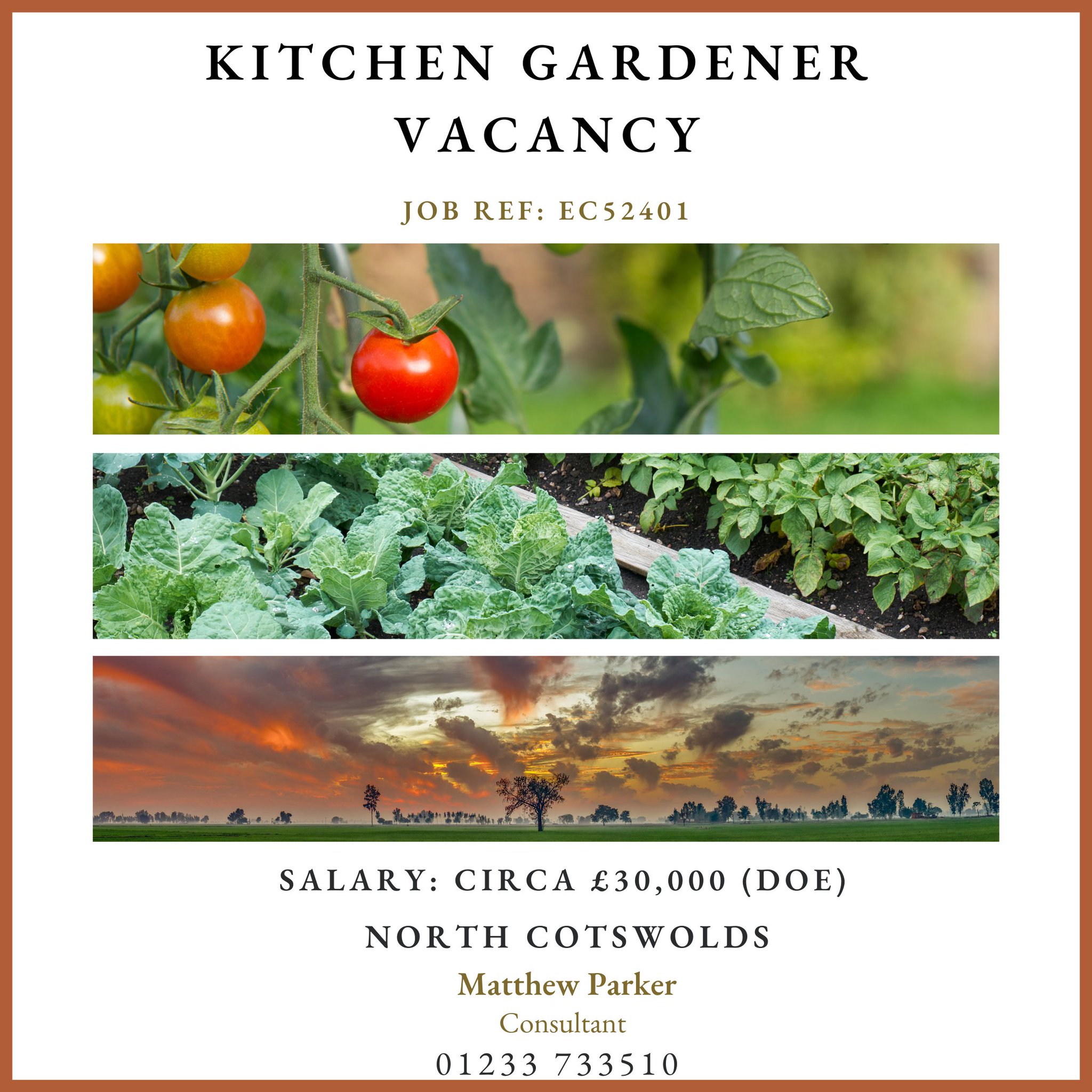 ECG on Twitter "This is a unique and exciting opportunity for a