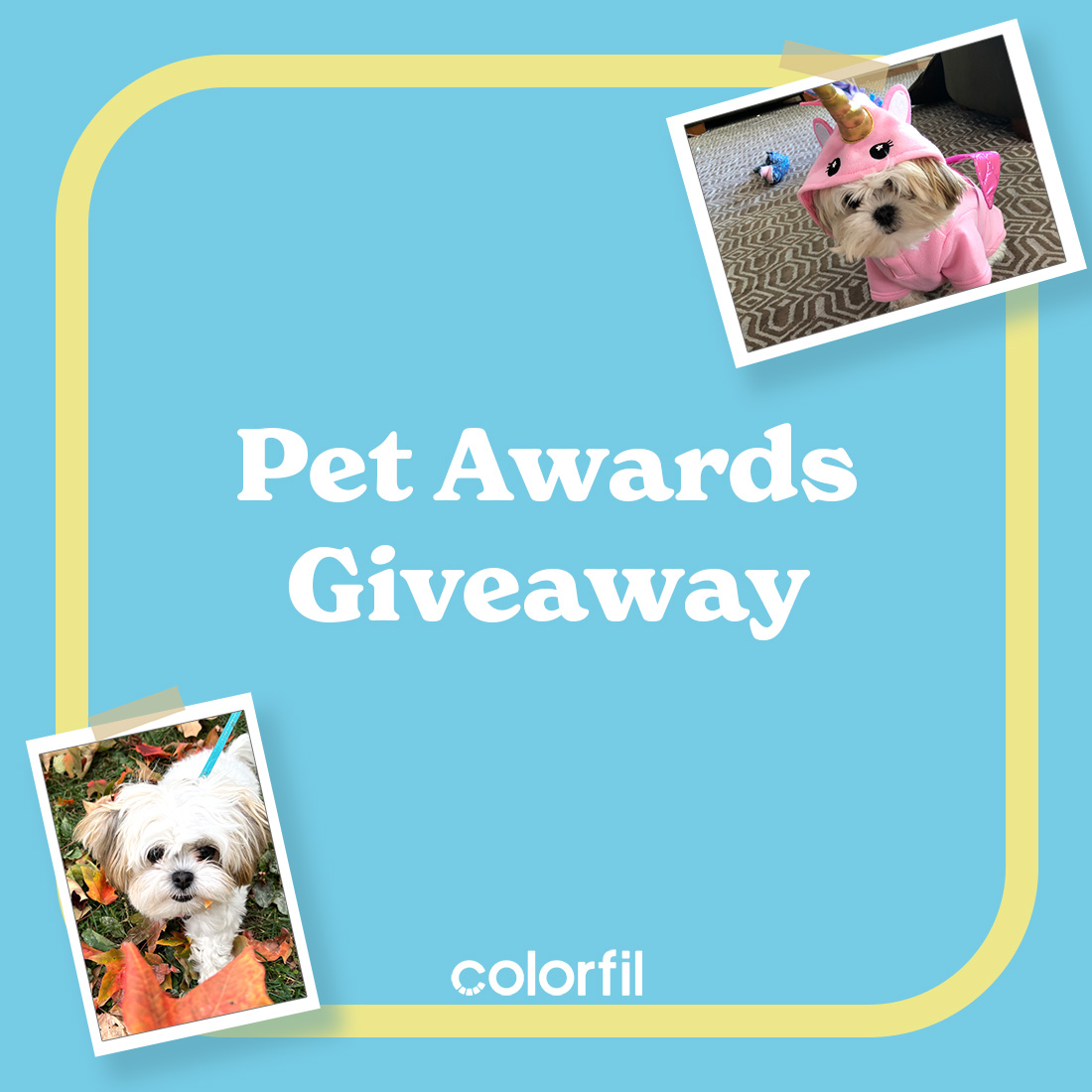 Colorfil Air Filters (@colorfil_air) on Twitter photo We're running a giveaway for the most adorable or funny pet pics now through February 15. Share a picture of your fur baby by tagging us in your photo and including #Colorfil. All finalists will receive Colorfil merchandise. We can't wait! #giveaway #dogs #cats #cute #love We're running a giveaway for the most adorable or funny pet pics now through February 15. Share a picture of your fur baby by tagging us in your photo and including #Colorfil. All finalists will receive Colorfil merchandise. We can't wait! #giveaway #dogs #cats #cute #love
