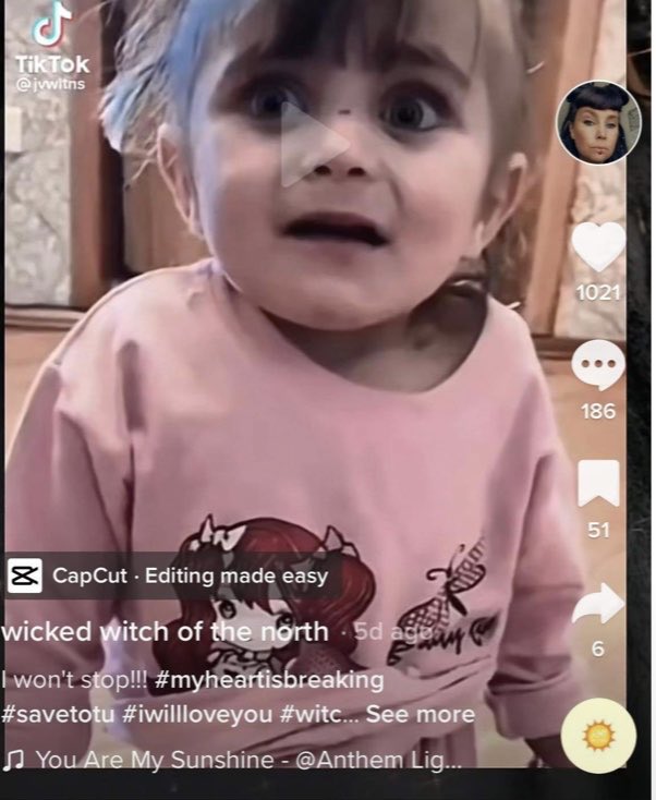 Tigger,Charcoal and Zuko on Twitter "RT Lin11W Please please guys. I