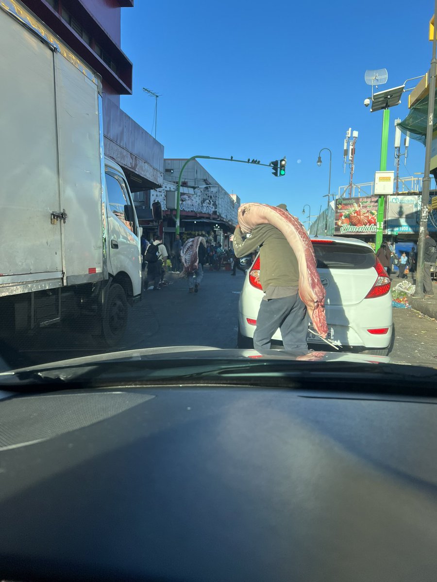 De que vale que un matadero certificado cumpla con todas las normas de inocuidad (HACCP, FCC22000, BPM) si el carnicero pasea al aire libre los canales, rompa cadena de frío y se pasee en el último punto previo al cliente final