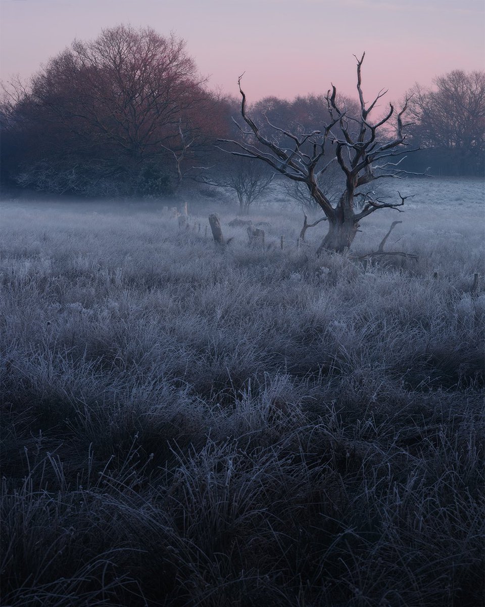 Dawn on the A5
.
#landscapephotography #fuji #photography