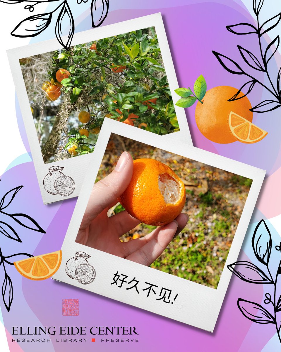 好久不见！long time no see!🤭