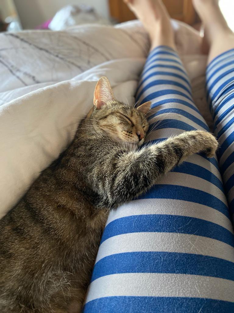 MeryPeblitos's tweet photo. @lorena_murano Se comió una aguja 😓 operación y ahí la tenemos feliz abrazando https://t.co/N4uTfZga70