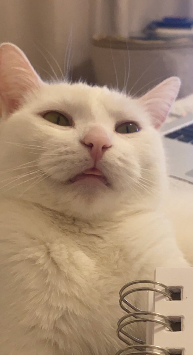 pumpkinLLLL's tweet photo. @weirdlilguys Aha 😝 https://t.co/BE0vEwzEpi