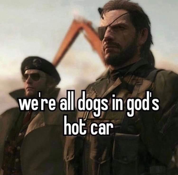 ShitpostGateway (@shitpostgate) on Twitter photo 