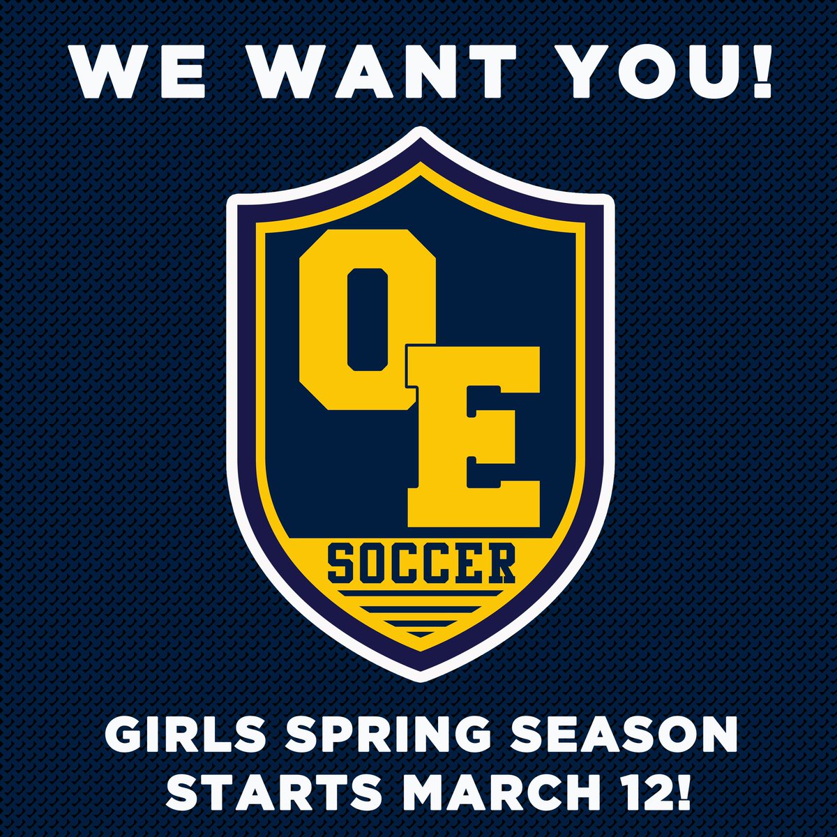 OvidElsieSoccer tweet media