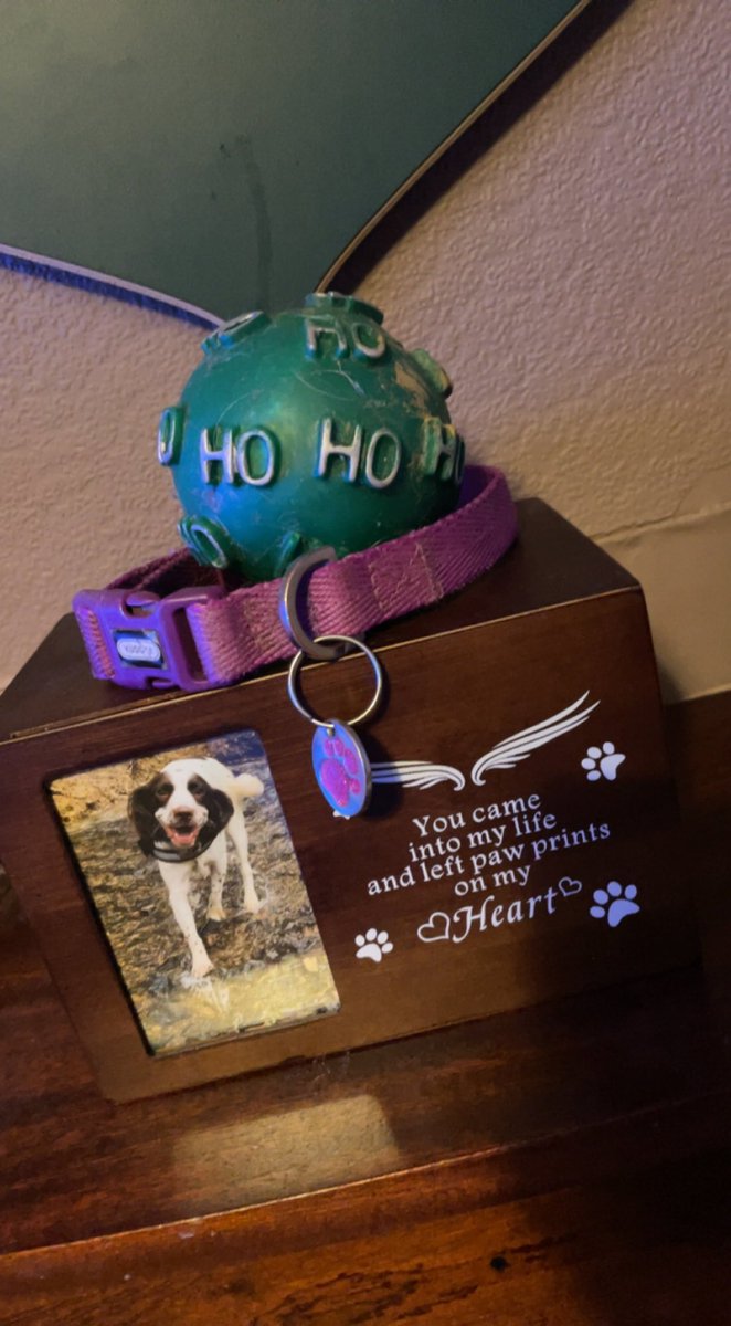 My girl is finally home on her fireplace we’re she loved ❤️ 🌈 🐾 hoping this will give us more closure knowing she’s now at home 💕