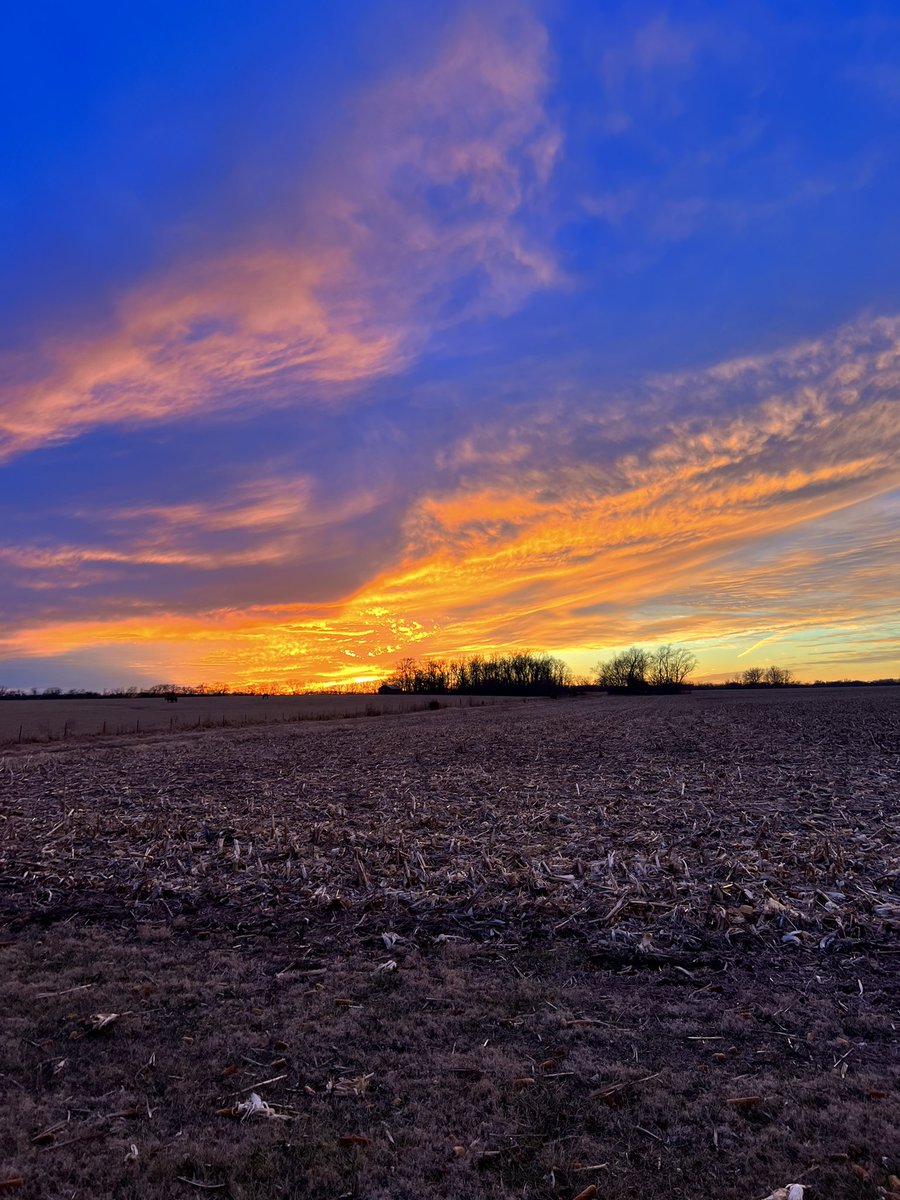 Beautiful farm sunset #farmphotos #farm