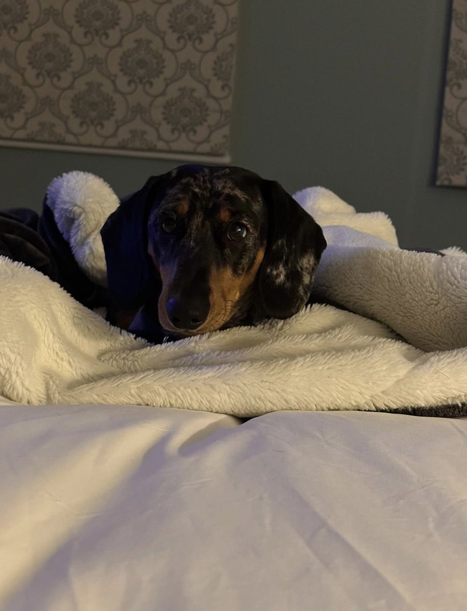 Anyone else hate getting up in the mornings? 🙄🥱