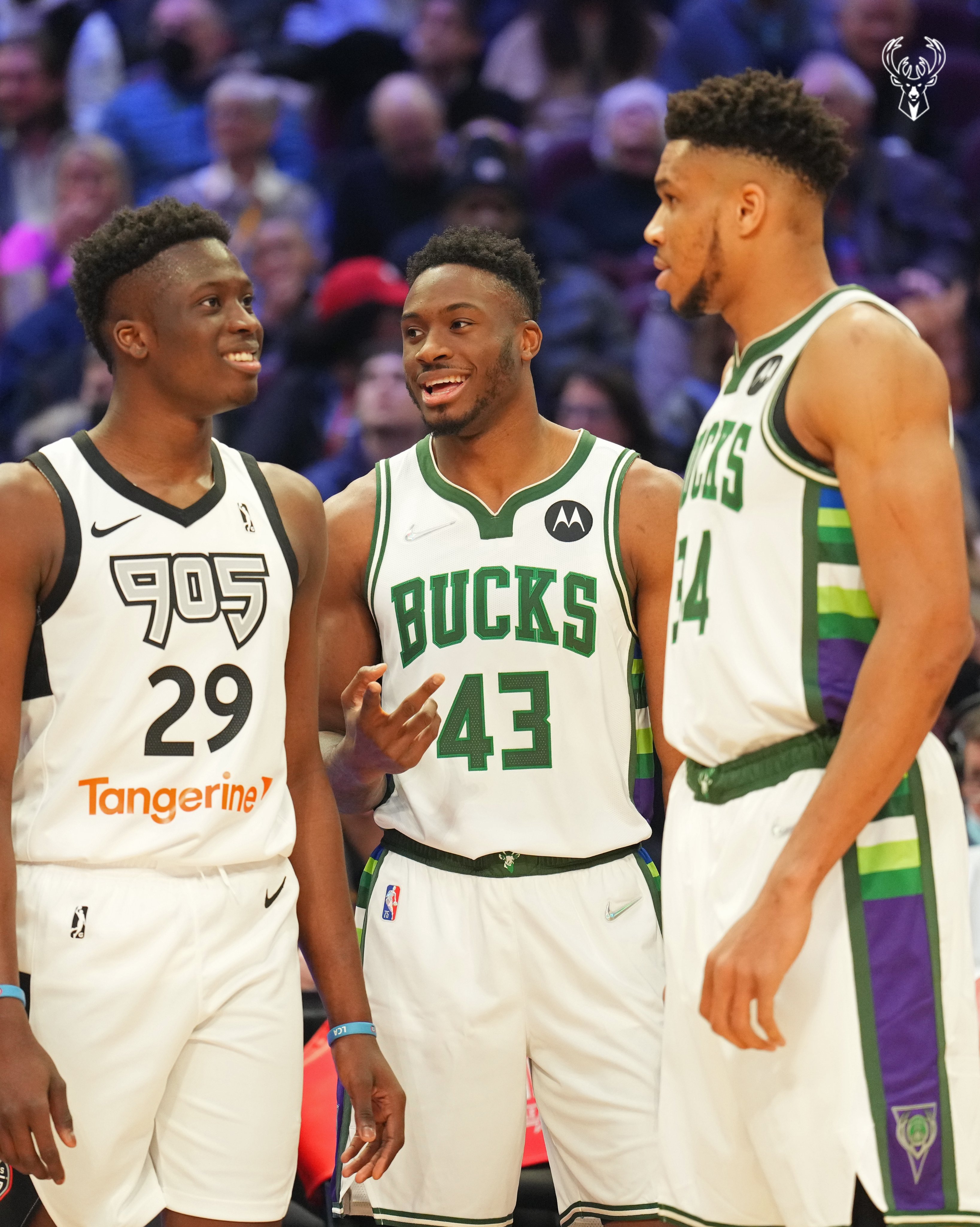 Thanasis antetokounmpo alex antetokounmpo discount