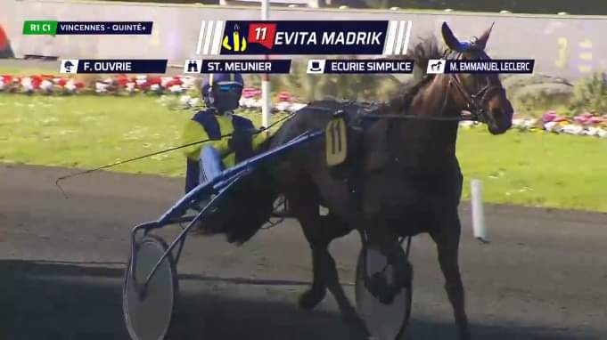 EAurmath's tweet image. Voici la newsletter de février:
ecurieaurmath.com/newsletter/
#letrot #newsletterdumois #février #chevaux #chevauxdecourses #athlètes #Equures