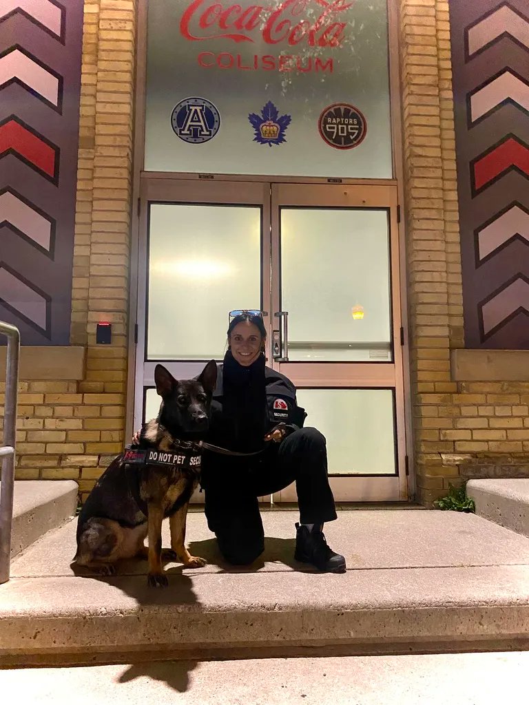 K9unit_ASP's tweet photo. #WorkingDogWednesday and we've got another power team to showcase. Handler Jenna and #K9 Jade keeping you safe around the clock. We had the pleasure of being there for the start of Jenna and Jade's career and we are so proud of this team. https://t.co/HWCclHp9Vo