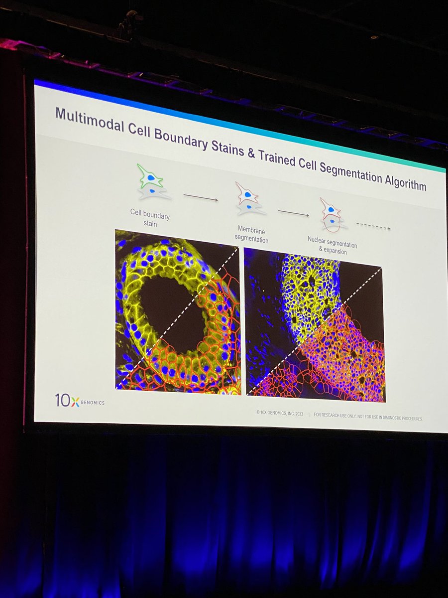Cell segmentation advances
#AGBT23