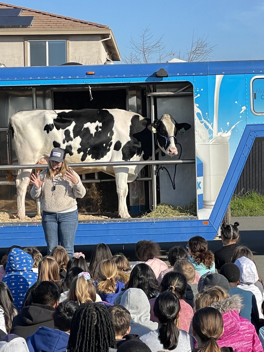 Debbie Mattes tweet media