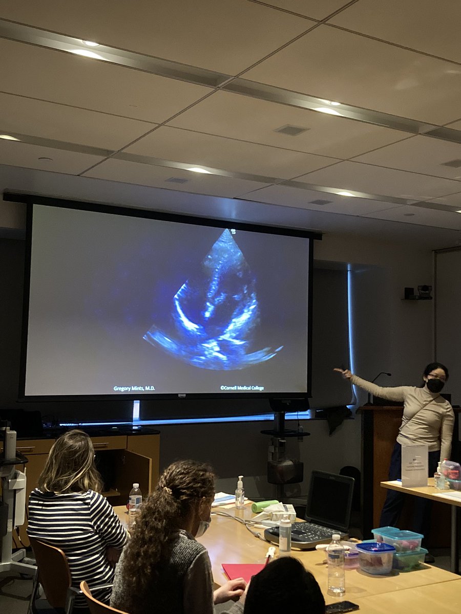 Day 3 means we are learning how to optimize our cardiac images. @G2Disrupt is teaching us when and how to rock (n’ roll) when optimizing A4.
