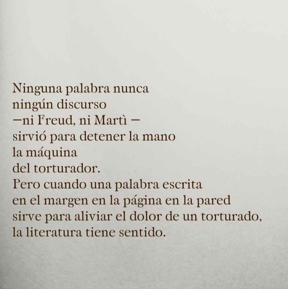 elvira sastre sanz tweet media