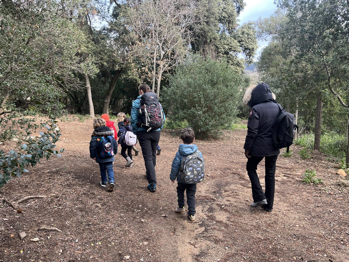 Today pre-K went to #forestschool with Ms. Jo and tied knots, secured tarps with rocks, balanced on fallen trees, decorated their structures, and noticed how the forest is different after rain #BFISBarcelona #earlyyears #experientallearning