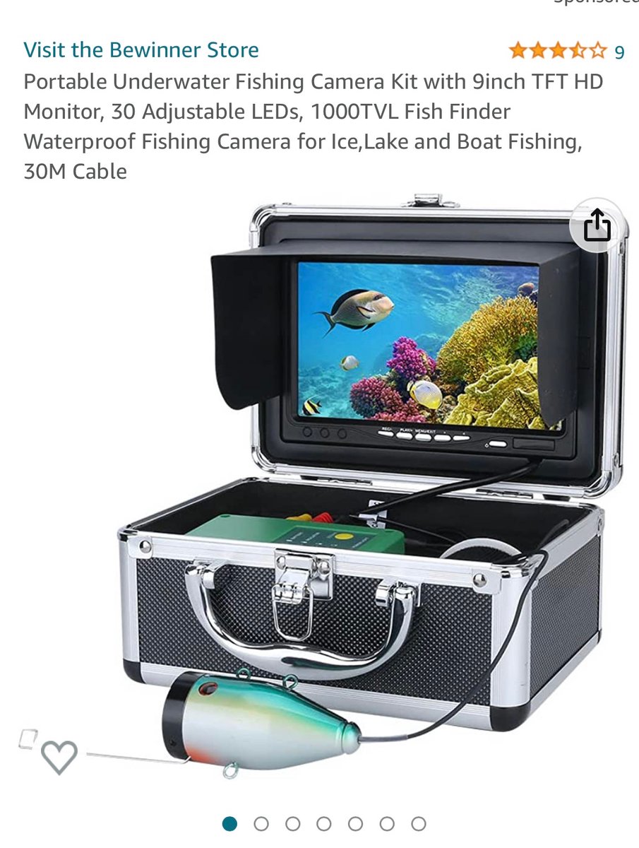 Katie Vidal Belshaw tweet media