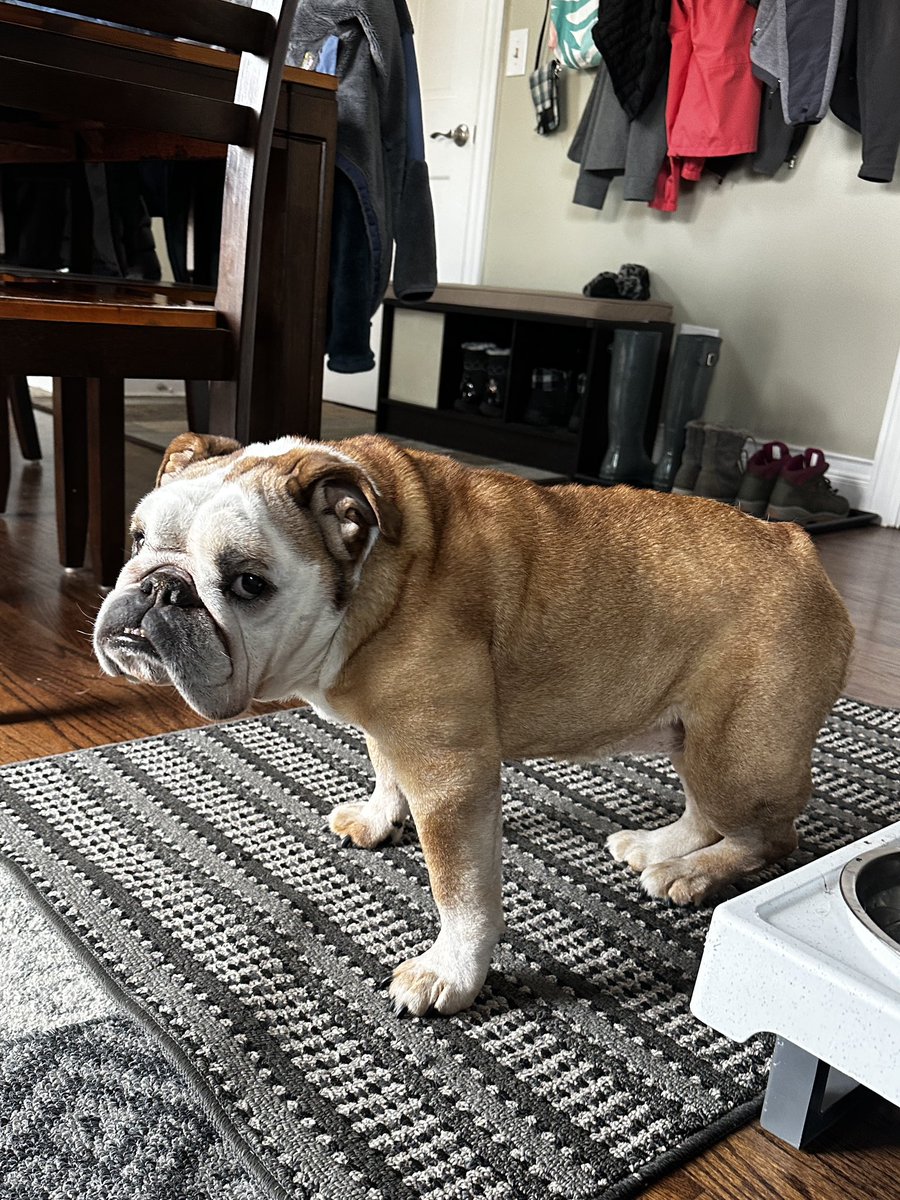 I would like to know why lunch hasn’t been served