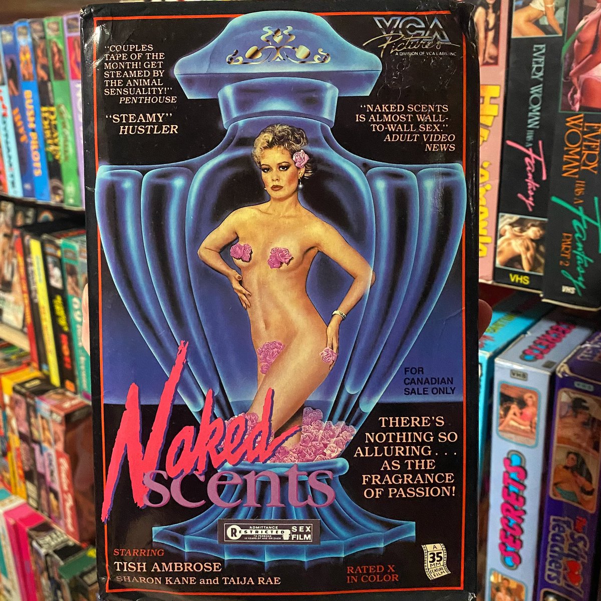 VideoClimax's tweet photo. Naked Scents (1985)

#tishambrose #sharonkane #taijarae #georgepayne #jerrybutler #vcapictures #80sporn #vintageporn #vhsporn #retroporn #vhscollector #bigboxvhs https://t.co/xf5Ph9ZeFX
