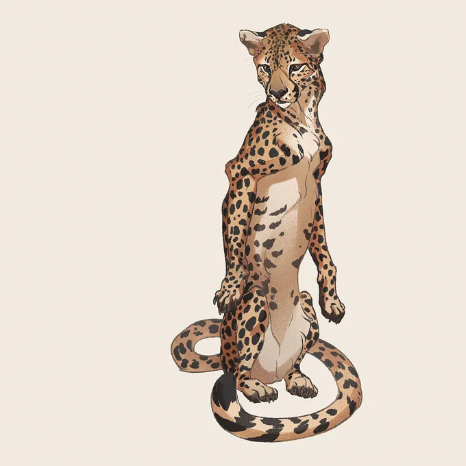 Another #febroary sketch, this time the cheetah. These big cats always reminds me of my beloved Mr. Cat 