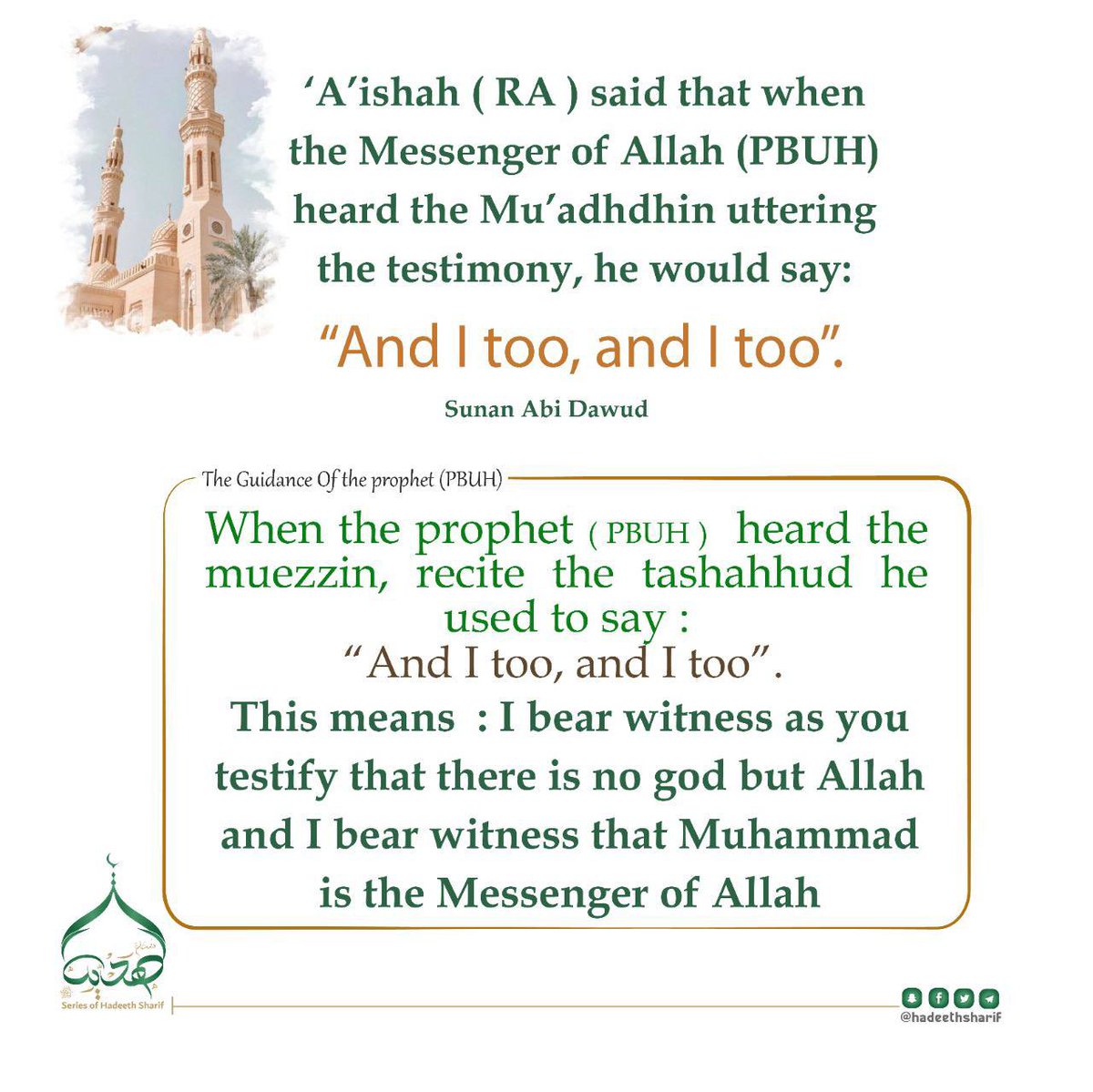 ✨ شُعَاعٌ مِنْ هَدْيِ النَّبِيِّ ﷺ ✨ tweet media