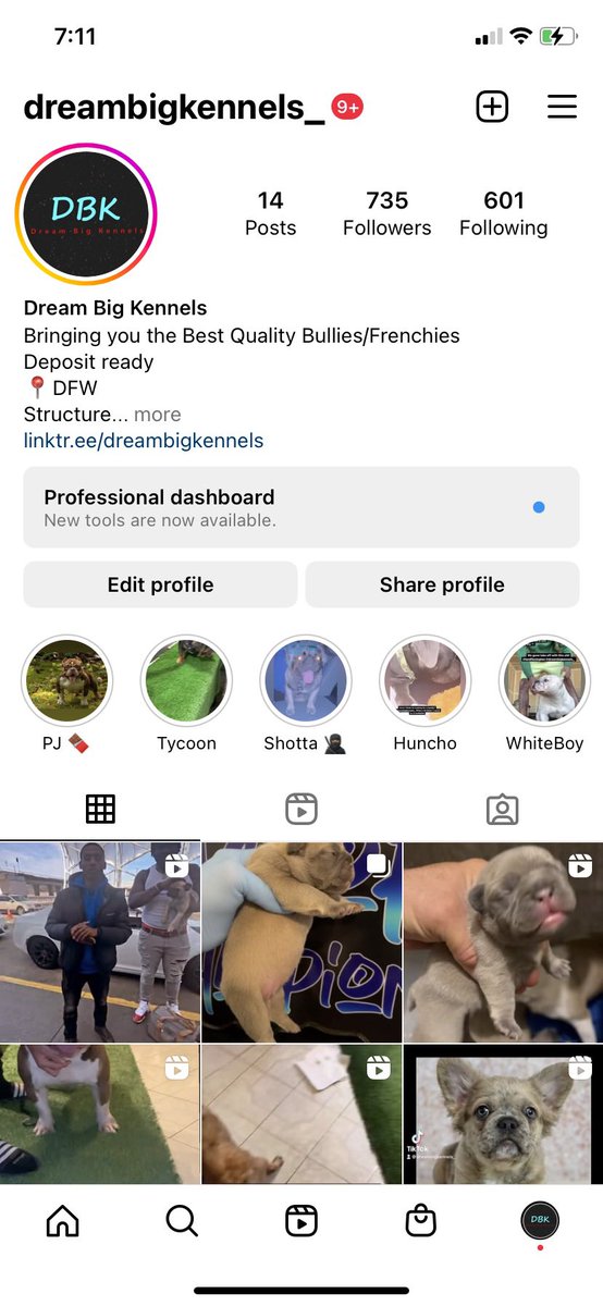 TEAMSAMAJ3's tweet photo. Big S/O to @BearAlexander_ for coping him a Shotta daughter . She’s a fawn fluffy carrier with a black mask and he got a stud credit to our merle full visual fluffy Scrap . We truly appreciate you for trusting in the camp and hope you love her 💙. 

#DreamBigKennels https://t.co/CyOTH4luLx