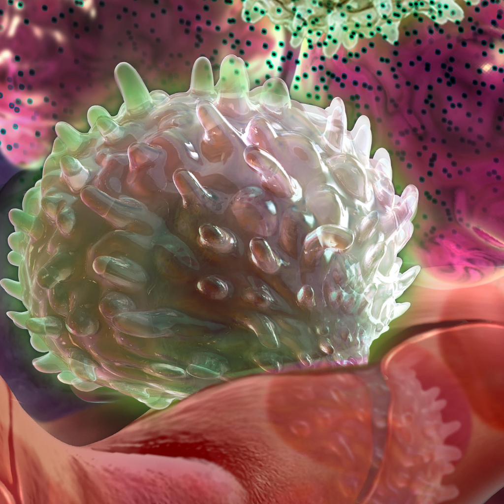 TheWeberGroup's tweet photo. This is the third image in the sequential series created by Audra Geras.  In this bioscape the cytotoxic CD8+ T cells are seen arriving to the environment of a cluster of tumor cells https://t.co/0fS9tot6YU #TheWeberGroup #TWG #ArtRep #medicalIllustration #glasseffect #notAIart https://t.co/1enlvalP8X