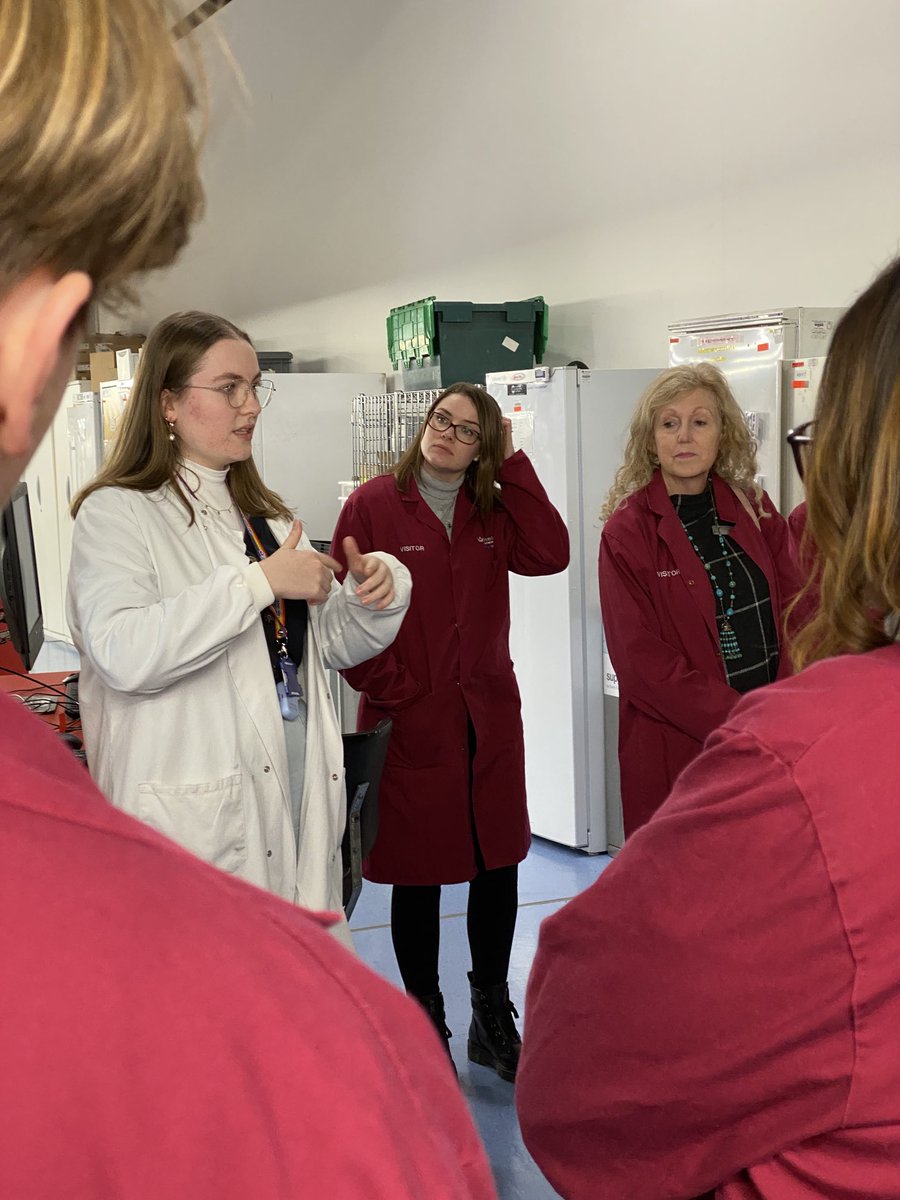 Silvia Marino tweet media