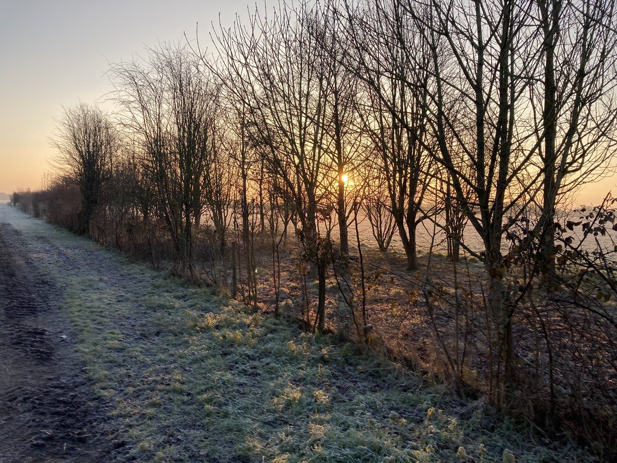 paintedglitter's tweet photo. Winter mornings 😍 #TreeClub https://t.co/dY7fTlflVF