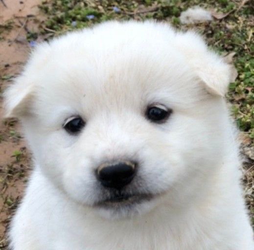 takemybear's tweet image. *หอม*