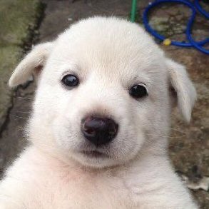 takemybear's tweet image. *หอม*