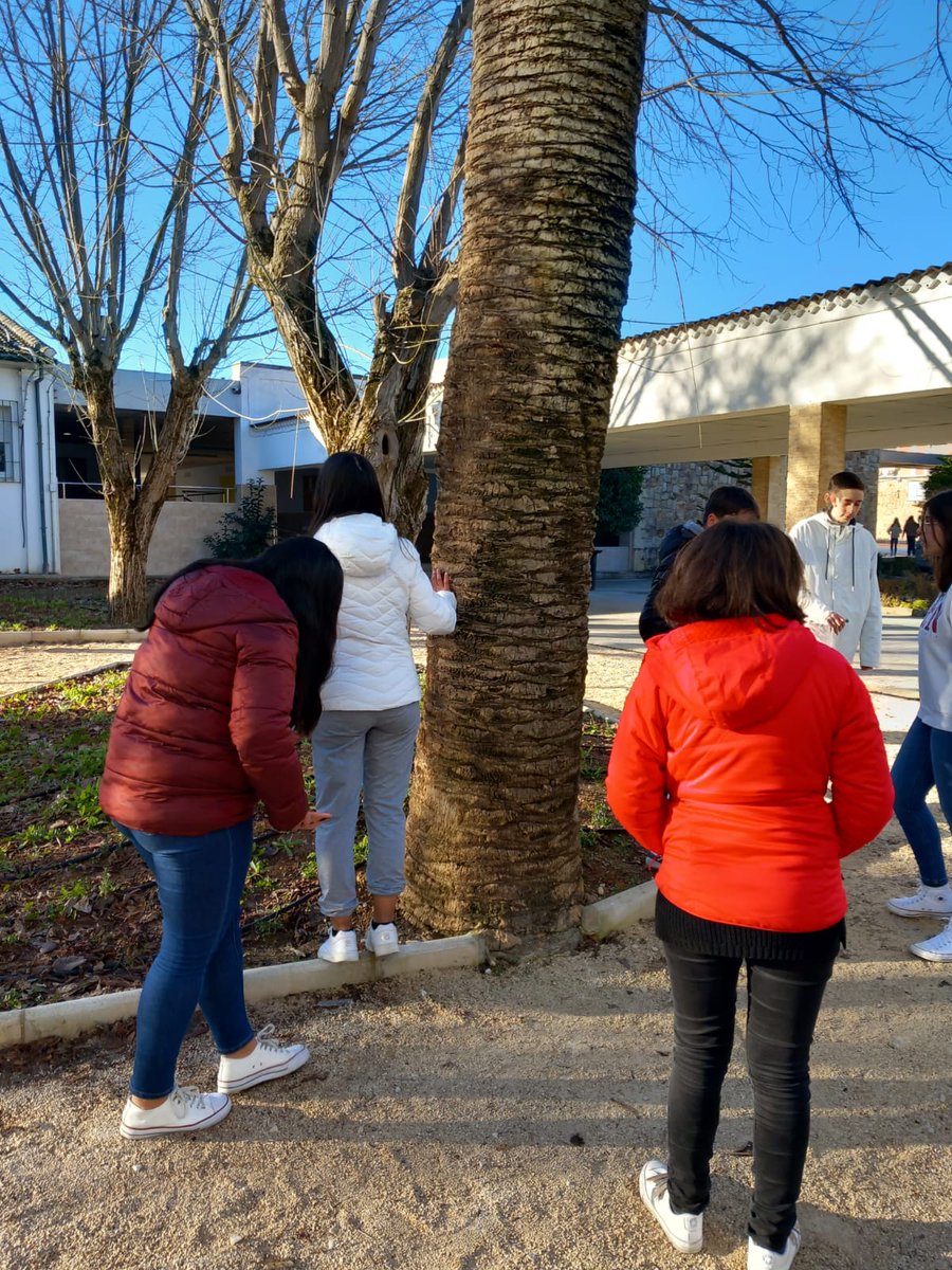 IES Marqués Comares tweet media