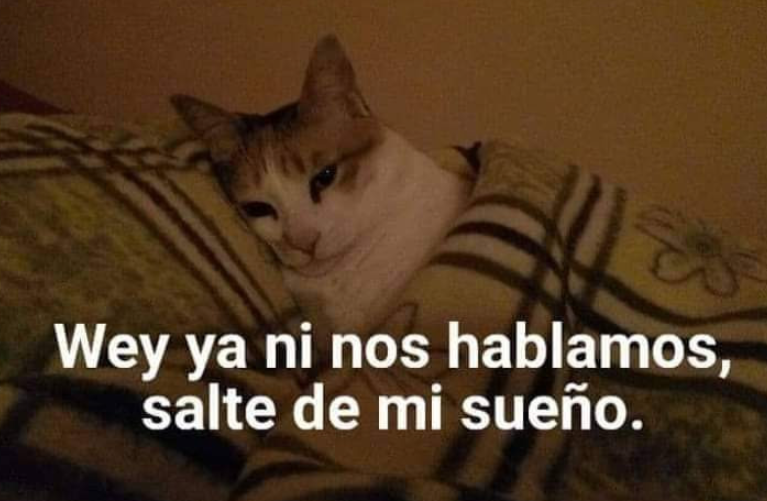 Teiiii's tweet photo. Yo y mis sueños 🙄 https://t.co/7Siwk6WTky